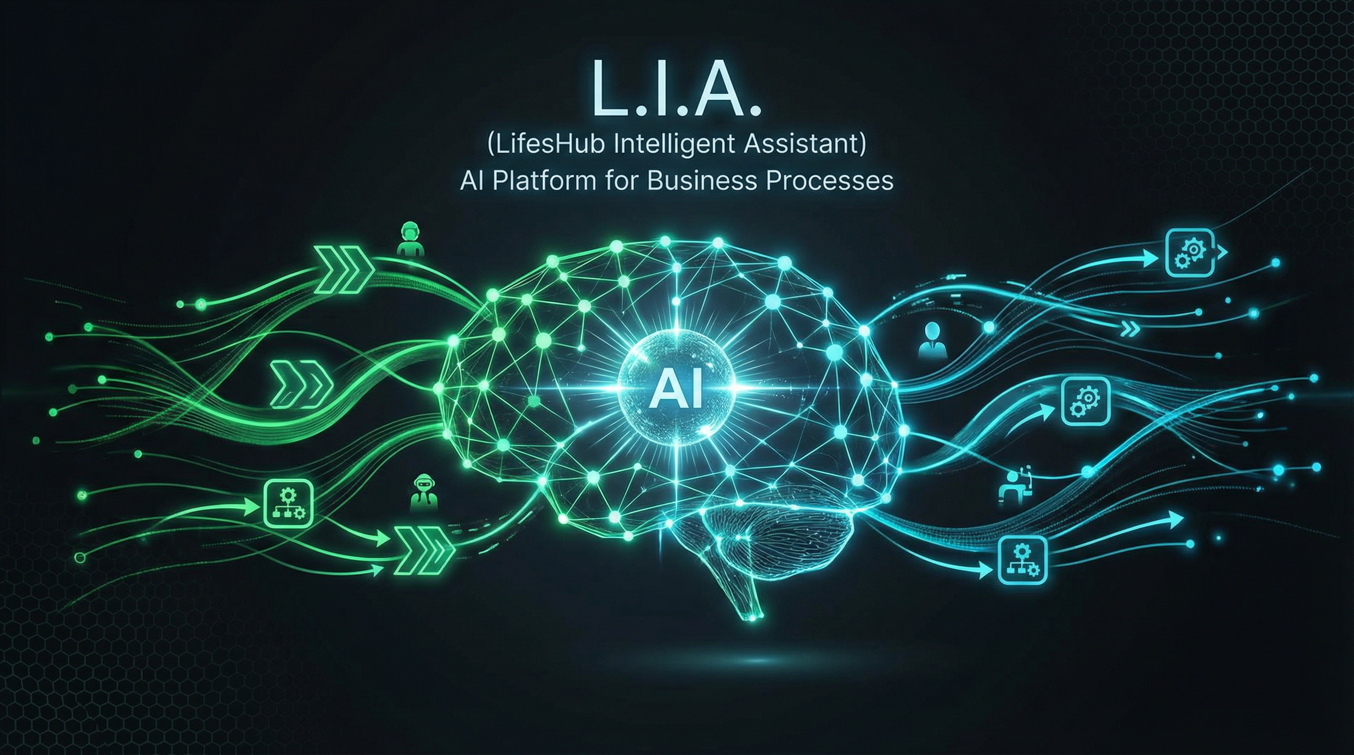 L.I.A. Visualization